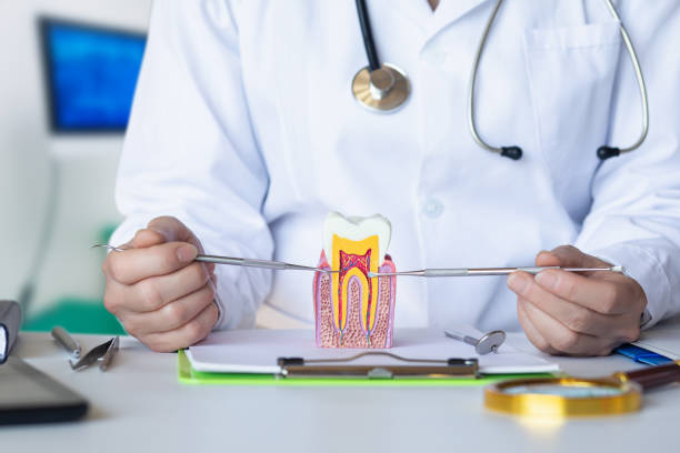 Best Emergency Dentist for Special Needs Patients in Endicott, NY